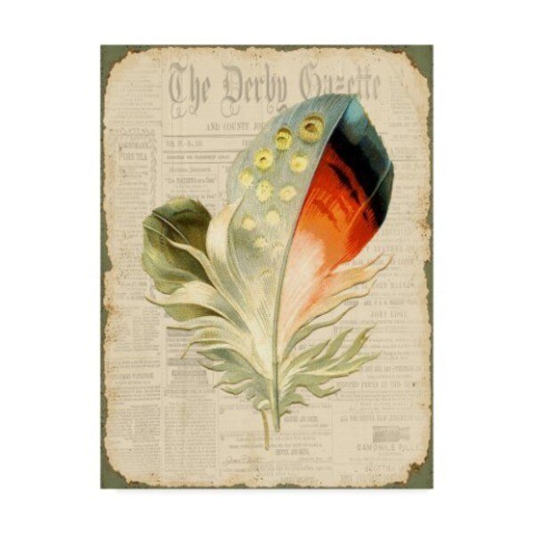 Jean Plout 'Elegant Feather' Canvas Art, 24x32, Trademark Fine Art, Mfr#: ALI30089-C2432GG